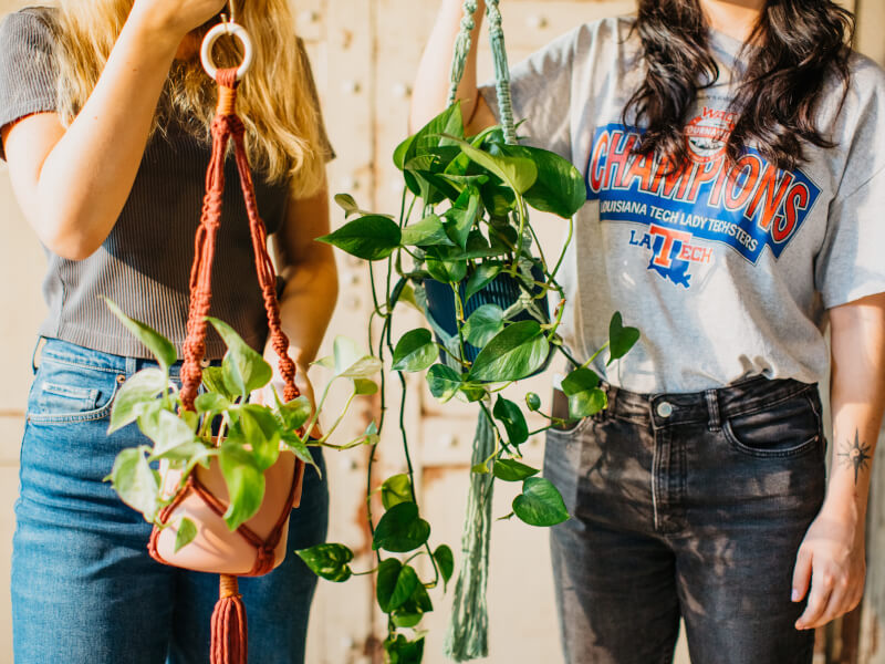 Two young women holding up plants in macrame hangers